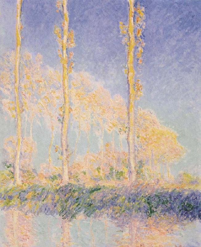 Claude Monet Three Poplars,Autumn Effect oil painting image